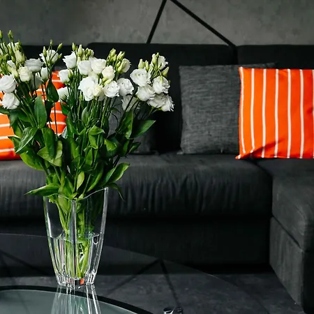 Lumina Swietego Mikolaja